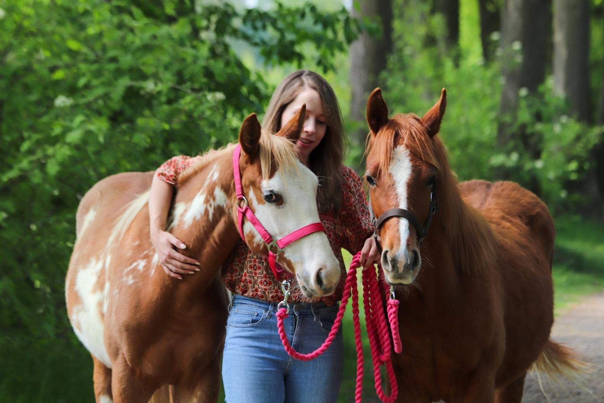Magnolia Hoeve - Unieke Bestemming Voor Paardenliefhebbers En Bijzondere Overnachtingen In De Natuur Ledeacker Εξωτερικό φωτογραφία