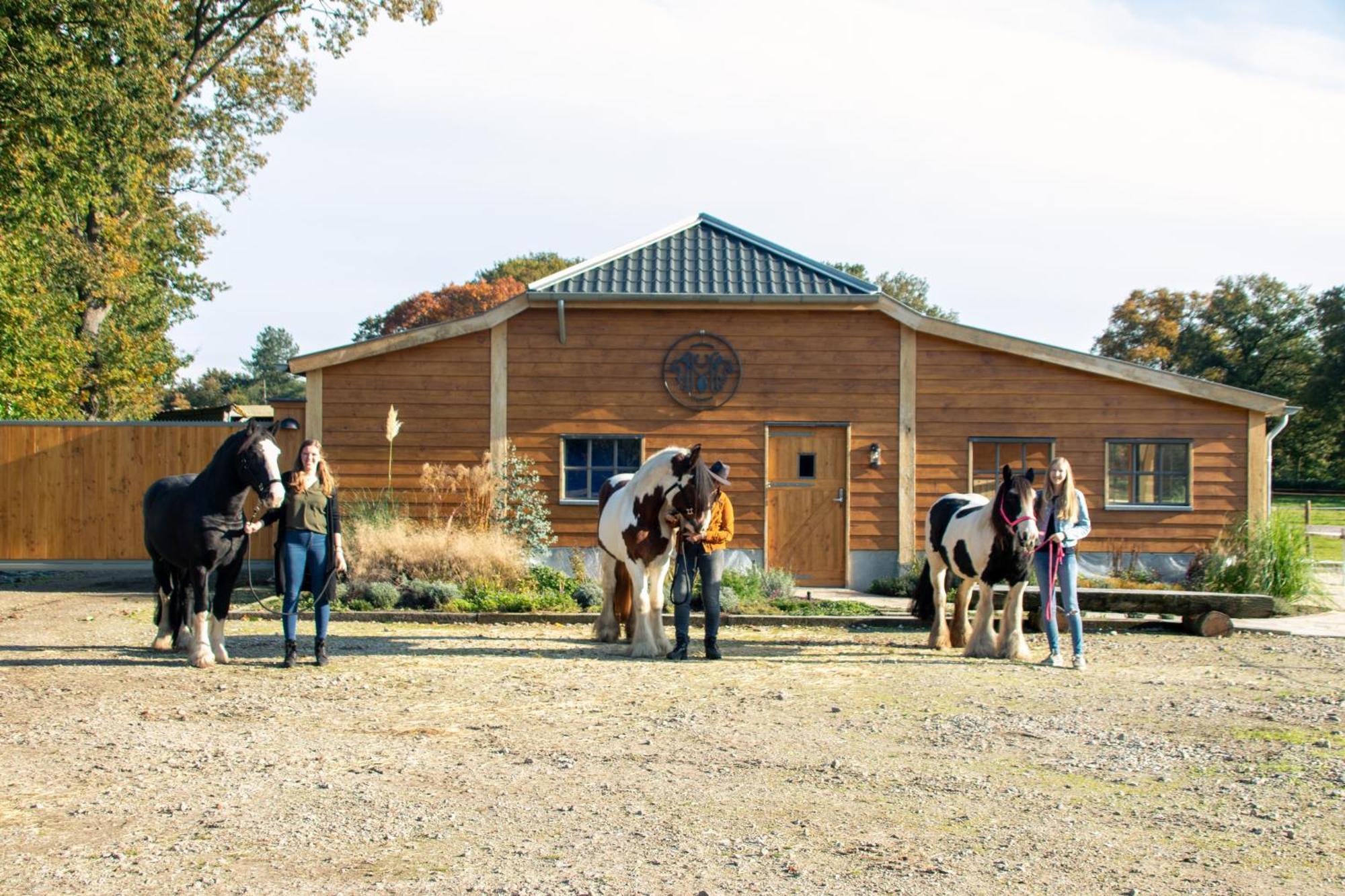 Magnolia Hoeve - Unieke Bestemming Voor Paardenliefhebbers En Bijzondere Overnachtingen In De Natuur Ledeacker Εξωτερικό φωτογραφία