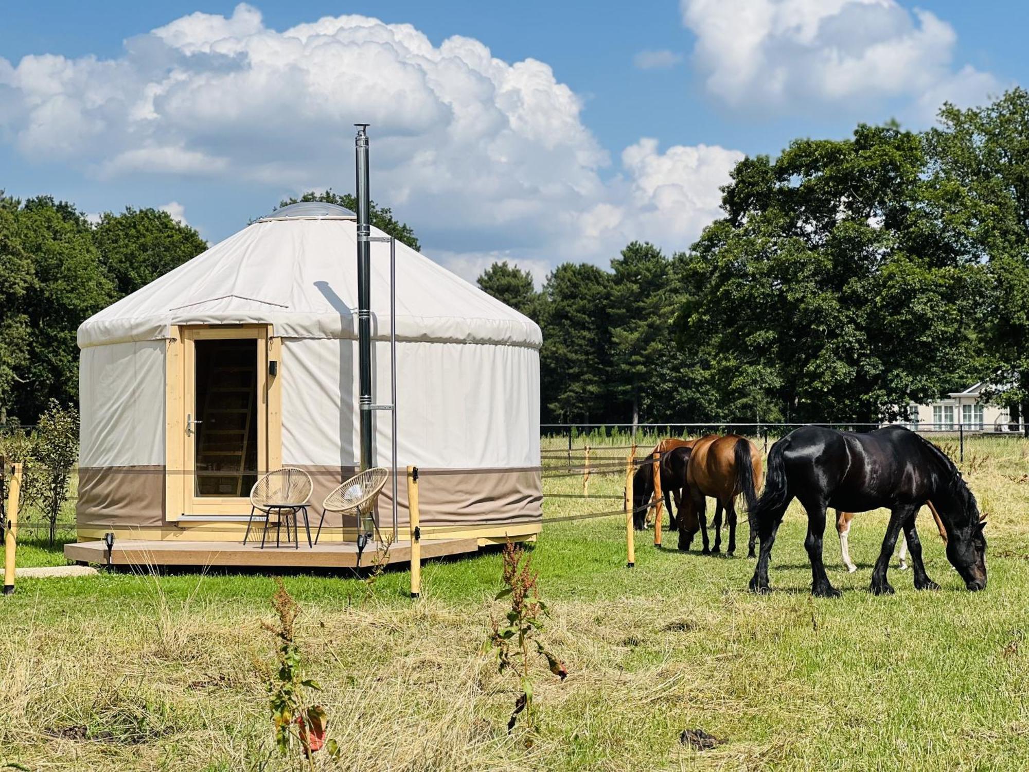 Magnolia Hoeve - Unieke Bestemming Voor Paardenliefhebbers En Bijzondere Overnachtingen In De Natuur Ledeacker Εξωτερικό φωτογραφία