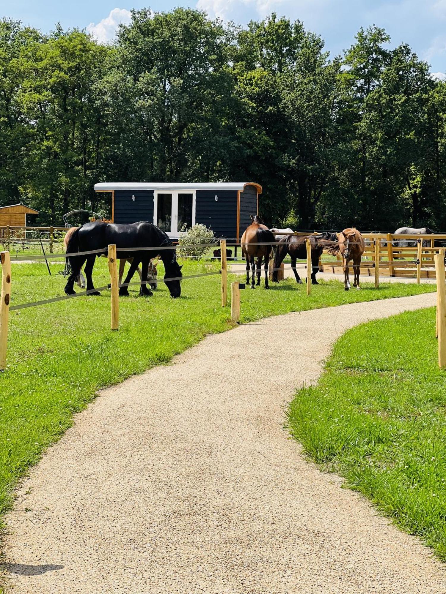 Magnolia Hoeve - Unieke Bestemming Voor Paardenliefhebbers En Bijzondere Overnachtingen In De Natuur Ledeacker Εξωτερικό φωτογραφία