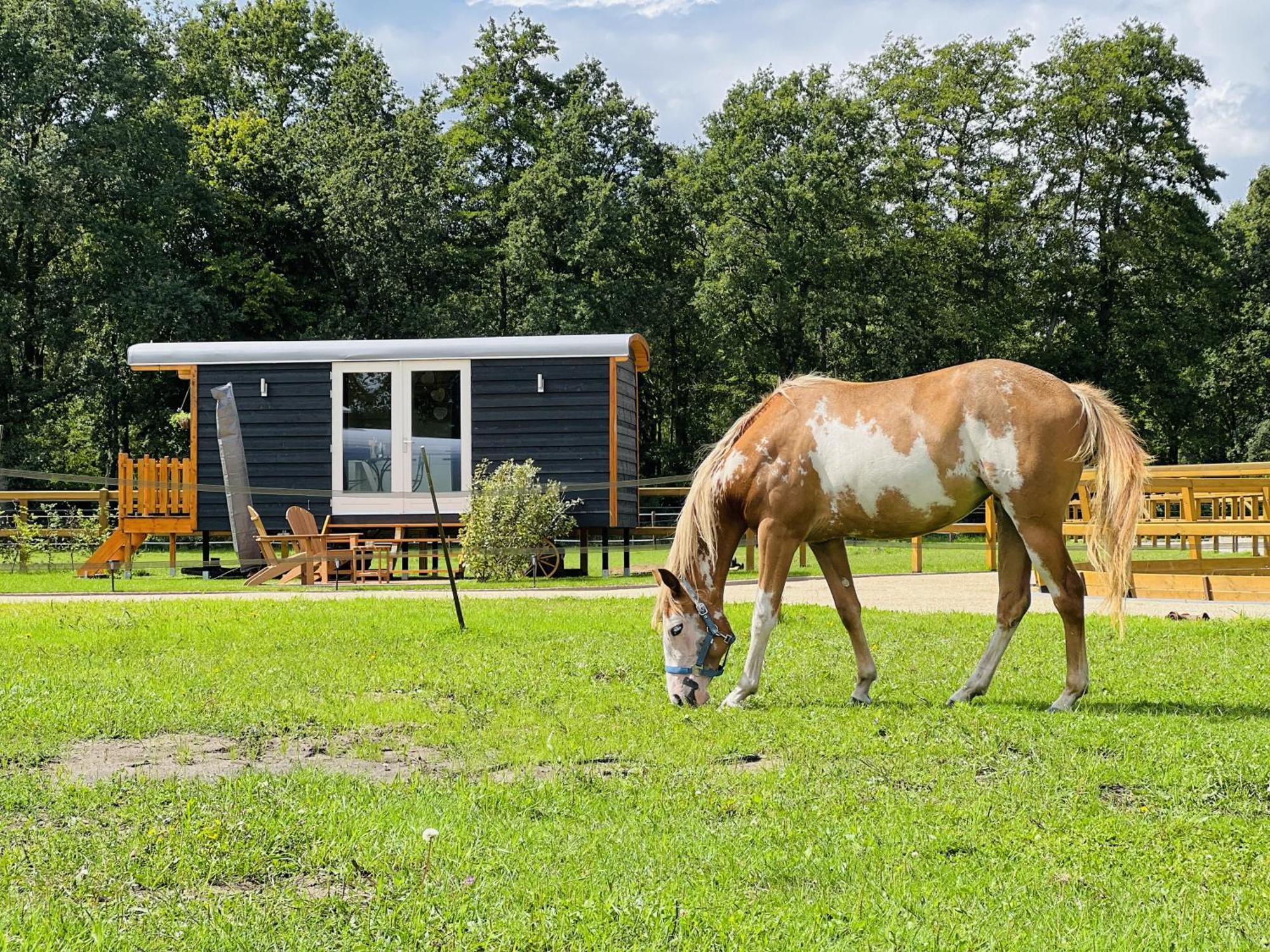 Magnolia Hoeve - Unieke Bestemming Voor Paardenliefhebbers En Bijzondere Overnachtingen In De Natuur Ledeacker Εξωτερικό φωτογραφία